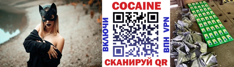 Купить  Вытегра  COCAIN Columbia 
