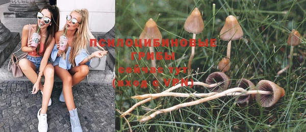 молекула духа Алзамай