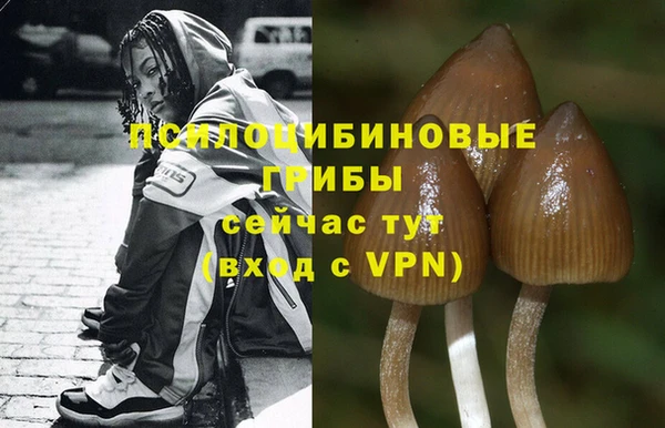 амф Алексеевка