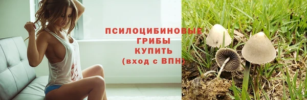 амф Алексеевка