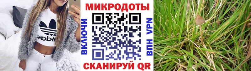 Галлюциногенные грибы ЛСД Купить Вытегра